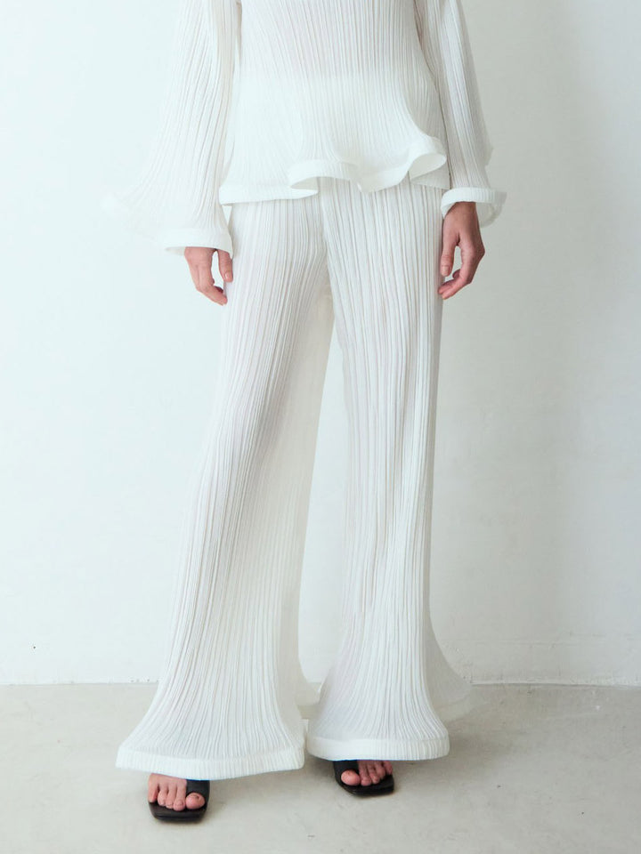 Elegant Ruffled Pleated Top And Pants Two-Piece Set