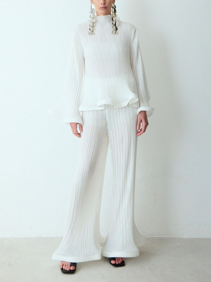 Elegant Ruffled Pleated Top And Pants Two-Piece Set